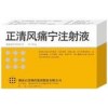 正清風痛寧注射液