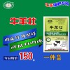 山羊催肥 羊催肥飼料   肉羊催肥飼料