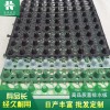 金華屋頂疏水板蓄排水板濾水板廠家供應(yīng)
